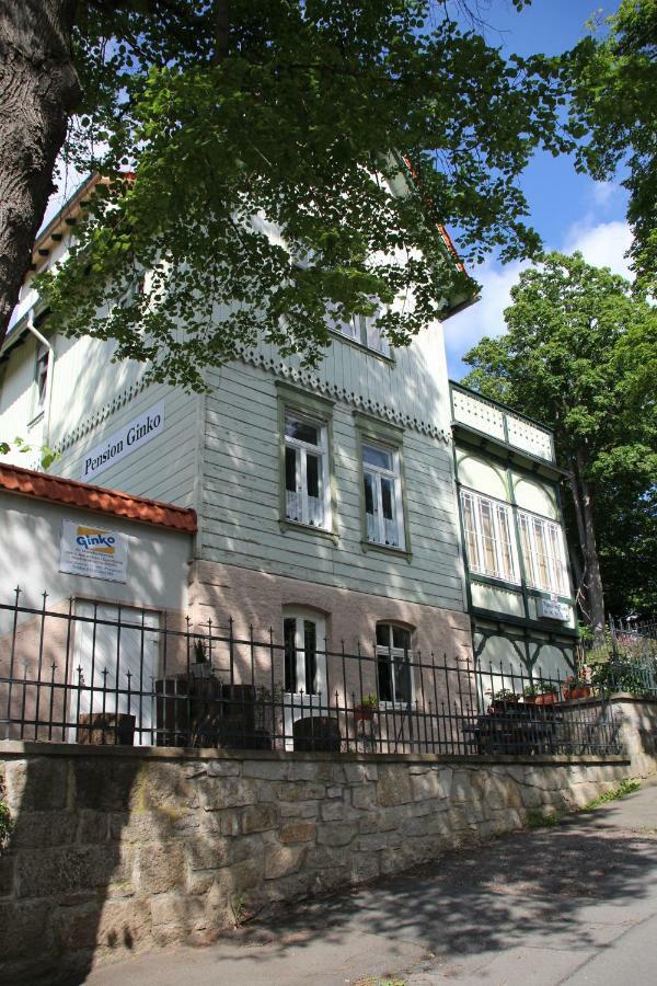 Pension Ginko แวร์นิกโกโรเดอ ภายนอก รูปภาพ